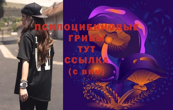 эйфоретик Абинск